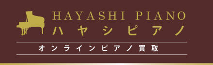 HAYASHI PIANO - nVsAm a ICsAm
